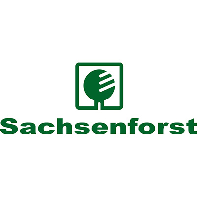 Sachsenforst
